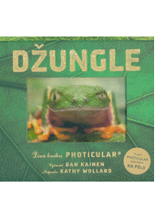Džungle